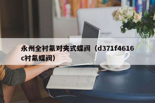 永州全衬氟对夹式蝶阀（d371f4616c衬氟蝶阀）