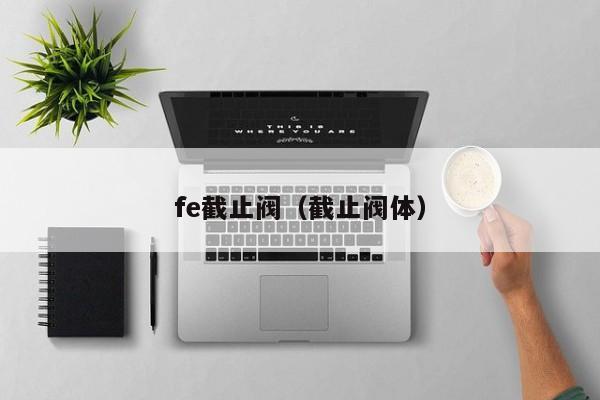 fe截止阀（截止阀体）