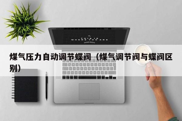 煤气压力自动调节蝶阀（煤气调节阀与蝶阀区别）