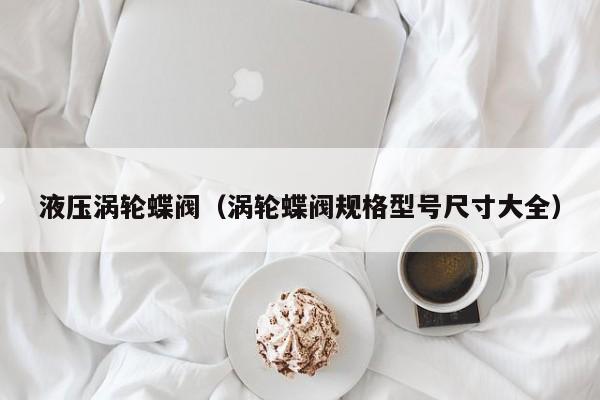 液压涡轮蝶阀（涡轮蝶阀规格型号尺寸大全）