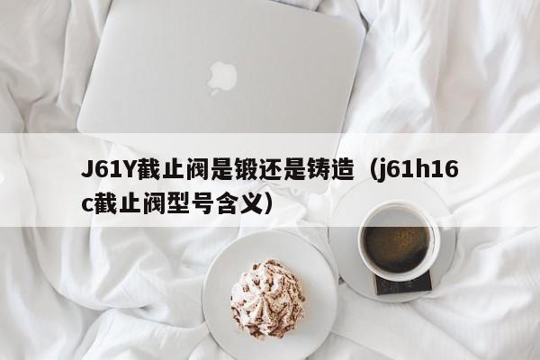 J61Y截止阀是锻还是铸造（j61h16c截止阀型号含义）