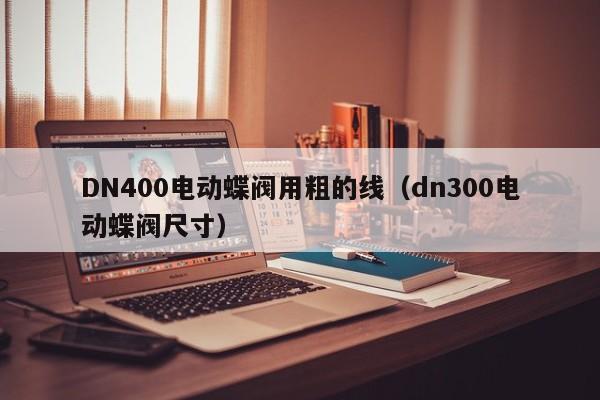 DN400电动蝶阀用粗的线（dn300电动蝶阀尺寸）