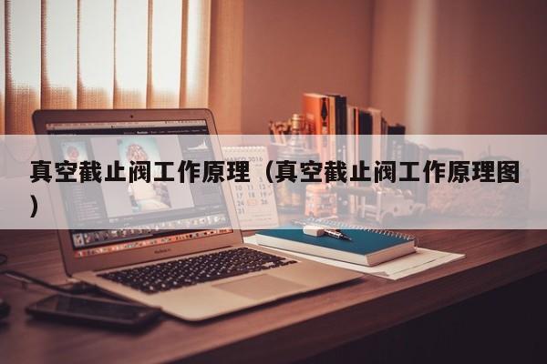 真空截止阀工作原理（真空截止阀工作原理图）