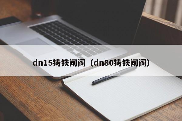 dn15铸铁闸阀（dn80铸铁闸阀）