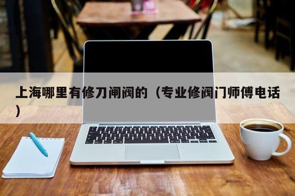 上海哪里有修刀闸阀的（专业修阀门师傅电话）