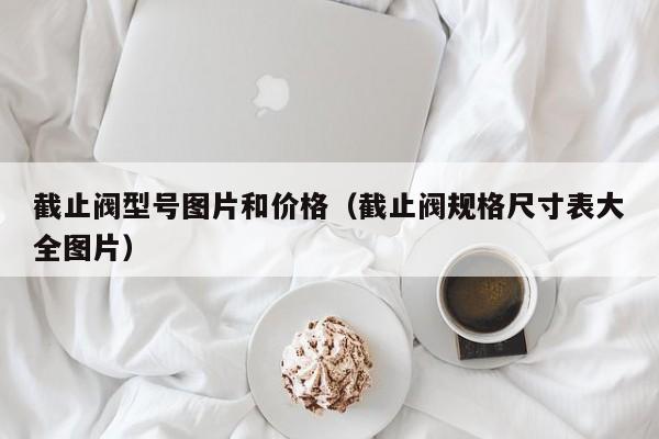 截止阀型号图片和价格（截止阀规格尺寸表大全图片）