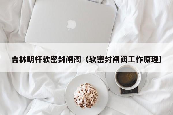 吉林明杆软密封闸阀（软密封闸阀工作原理）