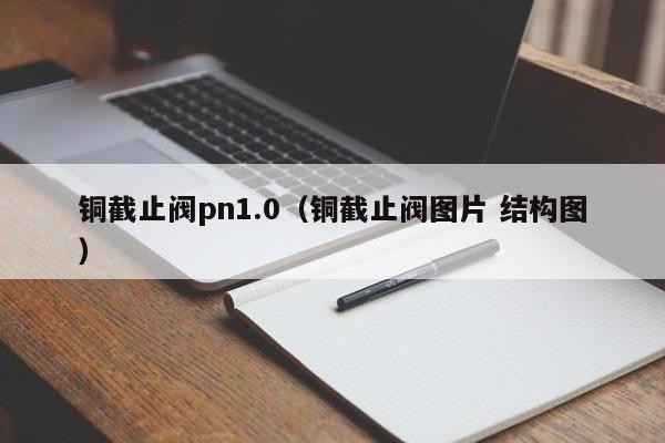 铜截止阀pn1.0（铜截止阀图片 结构图）