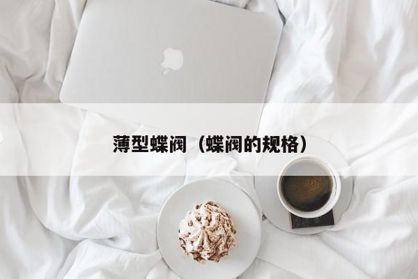 薄型蝶阀（蝶阀的规格）