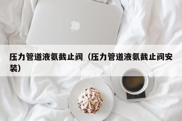 压力管道液氨截止阀（压力管道液氨截止阀安装）