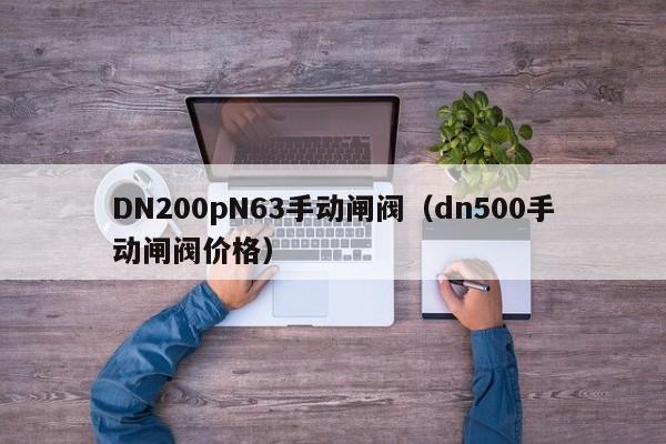 DN200pN63手动闸阀（dn500手动闸阀价格）