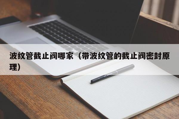 波纹管截止阀哪家（带波纹管的截止阀密封原理）