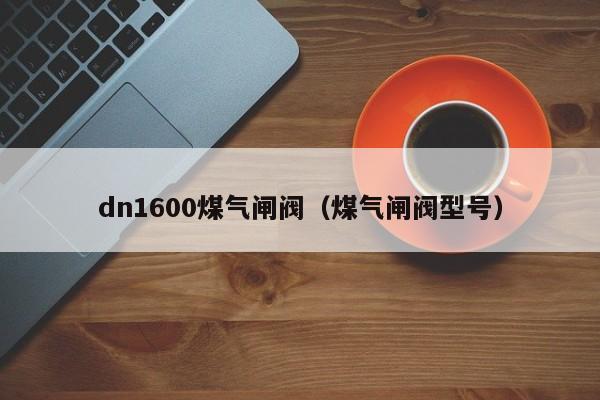 dn1600煤气闸阀（煤气闸阀型号）