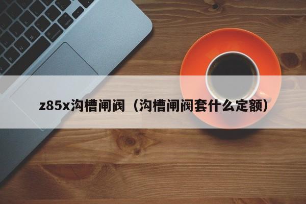 z85x沟槽闸阀（沟槽闸阀套什么定额）