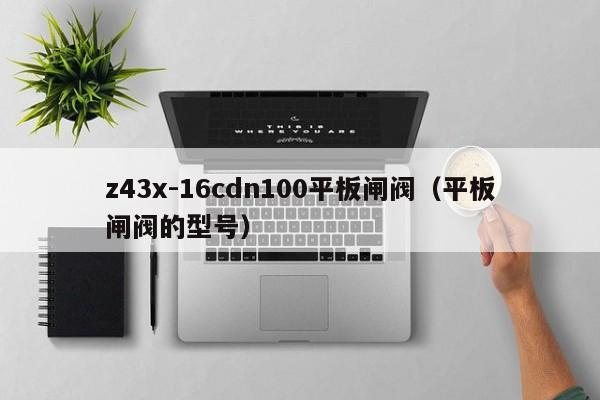 z43x-16cdn100平板闸阀（平板闸阀的型号）
