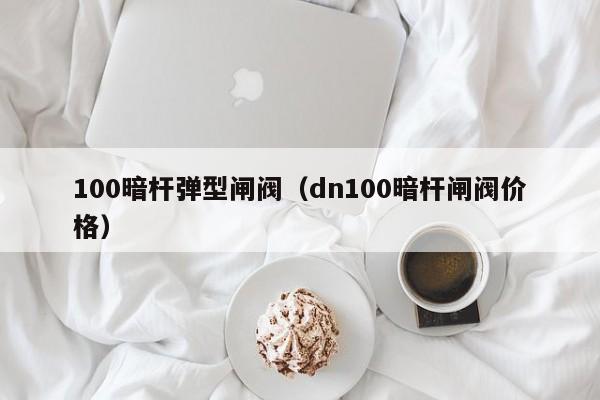 100暗杆弹型闸阀（dn100暗杆闸阀价格）