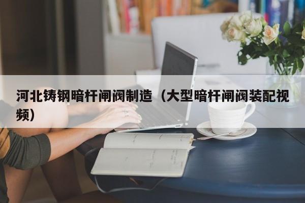河北铸钢暗杆闸阀制造（大型暗杆闸阀装配视频）