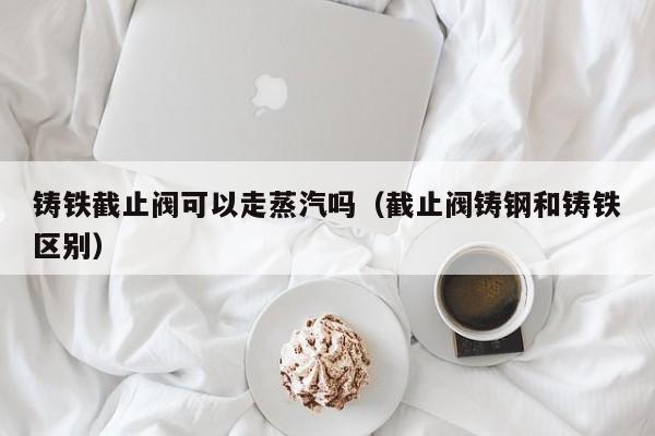 铸铁截止阀可以走蒸汽吗（截止阀铸钢和铸铁区别）