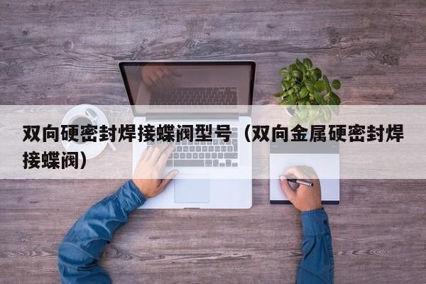 双向硬密封焊接蝶阀型号（双向金属硬密封焊接蝶阀）