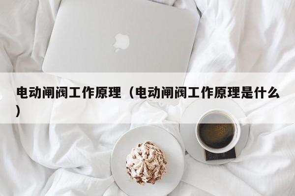 电动闸阀工作原理（电动闸阀工作原理是什么）