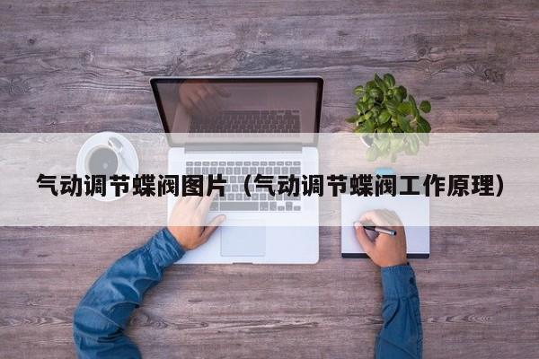 气动调节蝶阀图片（气动调节蝶阀工作原理）