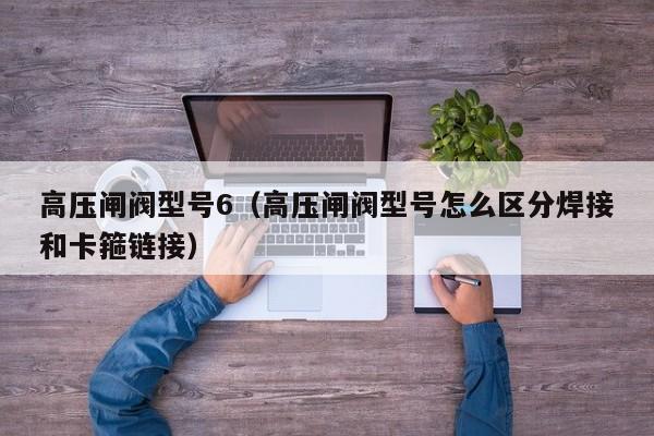 高压闸阀型号6（高压闸阀型号怎么区分焊接和卡箍链接）
