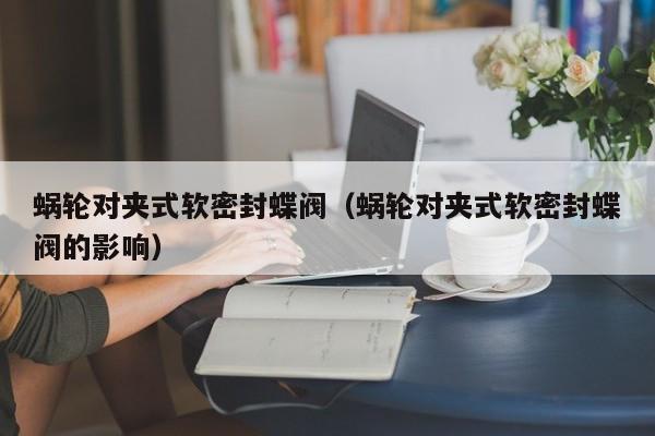 蜗轮对夹式软密封蝶阀（蜗轮对夹式软密封蝶阀的影响）