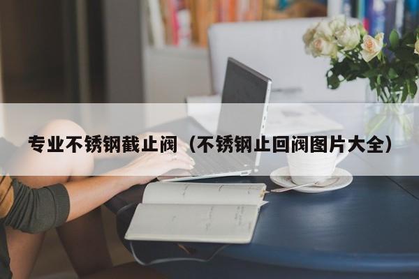 专业不锈钢截止阀（不锈钢止回阀图片大全）