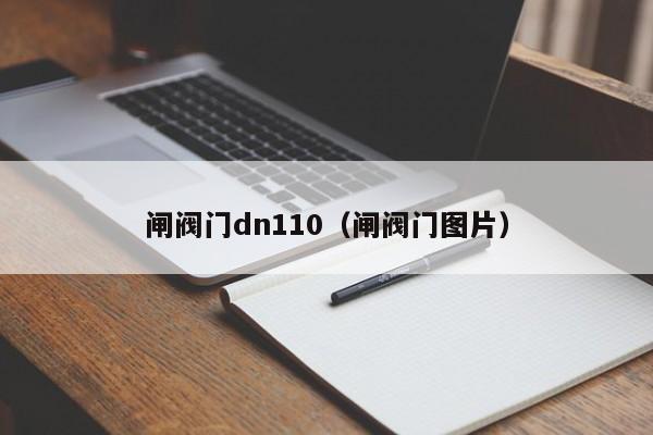 闸阀门dn110（闸阀门图片）