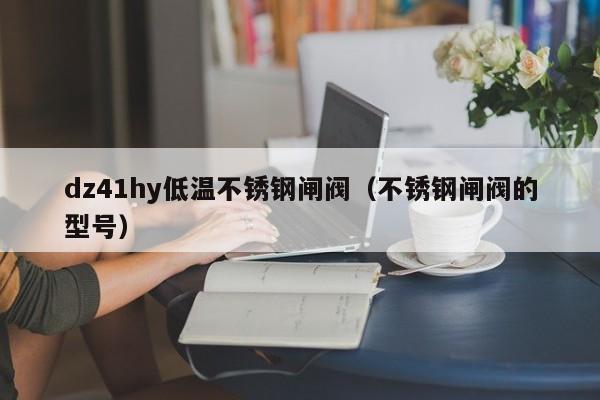 dz41hy低温不锈钢闸阀（不锈钢闸阀的型号）