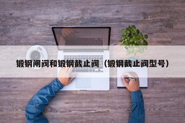 锻钢闸阀和锻钢截止阀（锻钢截止阀型号）