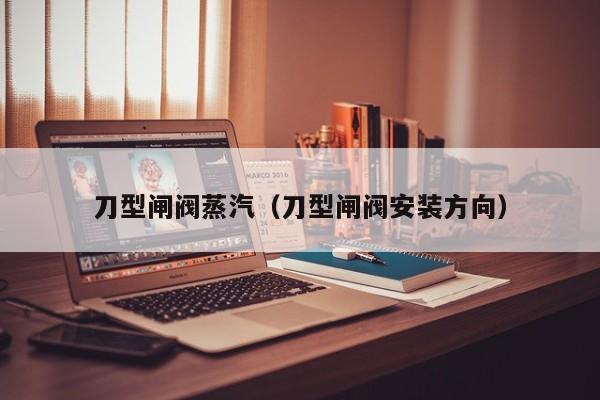 刀型闸阀蒸汽（刀型闸阀安装方向）