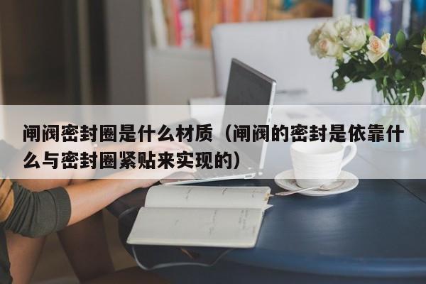 闸阀密封圈是什么材质（闸阀的密封是依靠什么与密封圈紧贴来实现的）