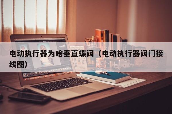 电动执行器为啥垂直蝶阀（电动执行器阀门接线图）