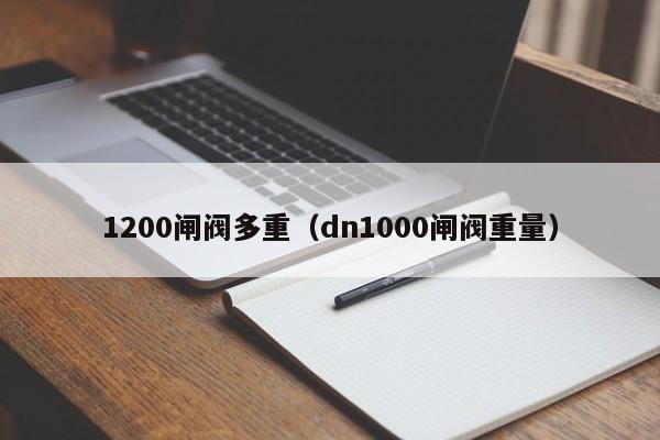 1200闸阀多重（dn1000闸阀重量）