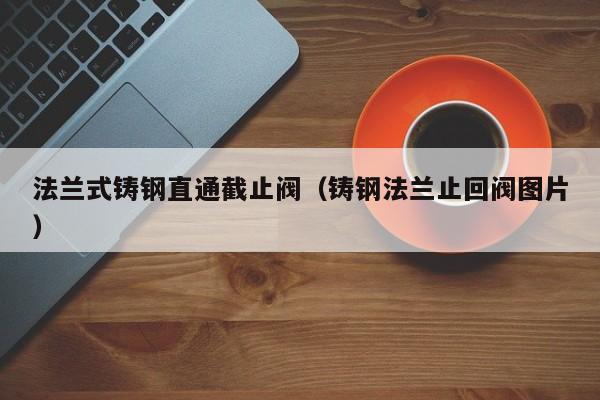 法兰式铸钢直通截止阀（铸钢法兰止回阀图片）
