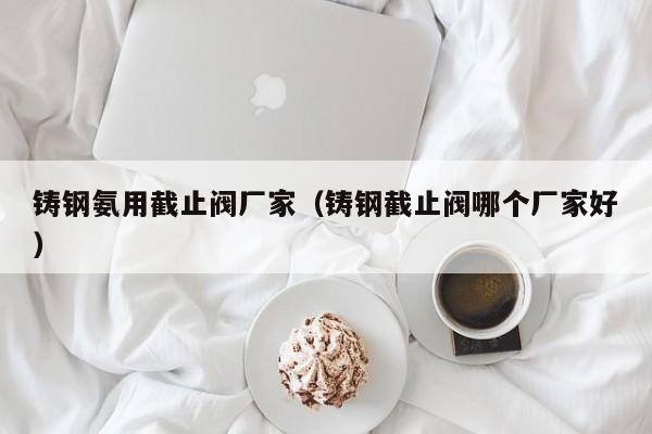 铸钢氨用截止阀厂家（铸钢截止阀哪个厂家好）
