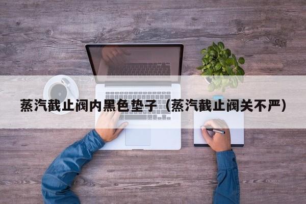 蒸汽截止阀内黑色垫子（蒸汽截止阀关不严）