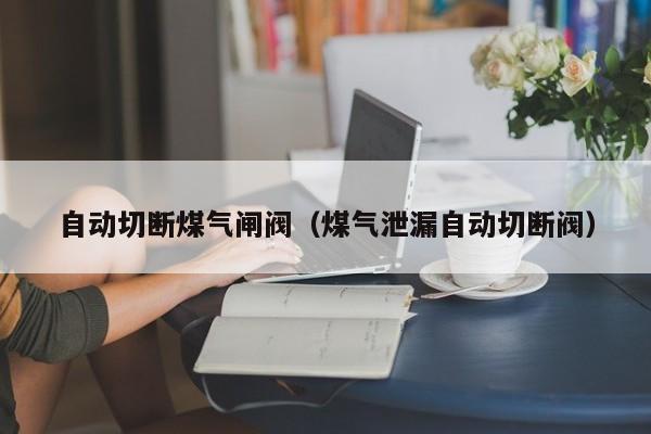 自动切断煤气闸阀（煤气泄漏自动切断阀）