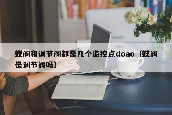 蝶阀和调节阀都是几个监控点doao（蝶阀是调节阀吗）