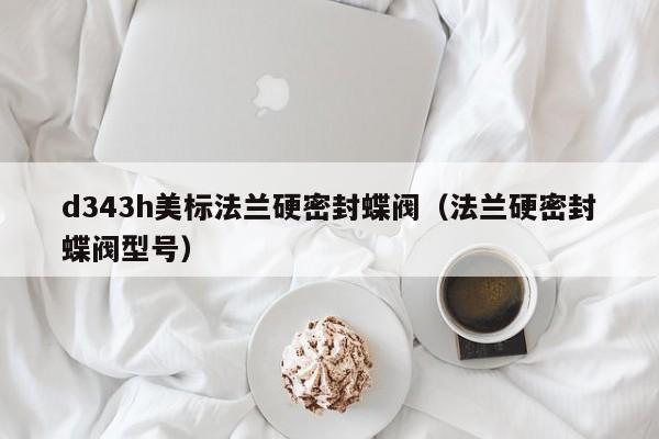 d343h美标法兰硬密封蝶阀（法兰硬密封蝶阀型号）