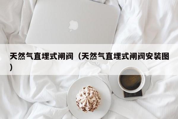 天然气直埋式闸阀（天然气直埋式闸阀安装图）