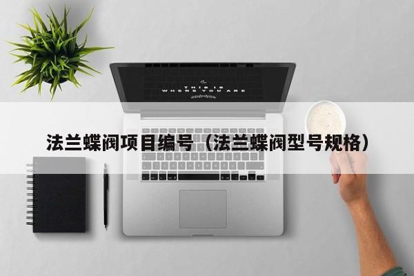 法兰蝶阀项目编号（法兰蝶阀型号规格）
