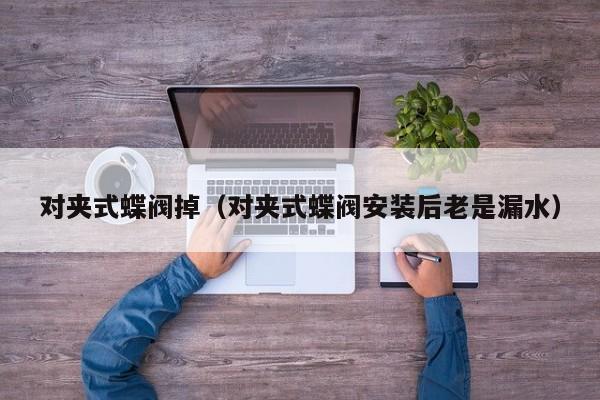 对夹式蝶阀掉（对夹式蝶阀安装后老是漏水）