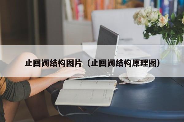 止回阀结构图片（止回阀结构原理图）