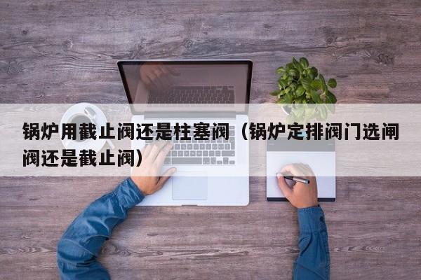 锅炉用截止阀还是柱塞阀（锅炉定排阀门选闸阀还是截止阀）