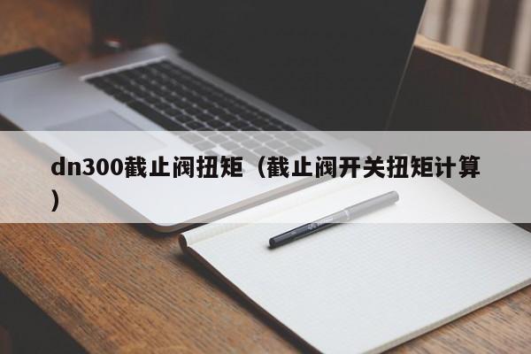 dn300截止阀扭矩（截止阀开关扭矩计算）