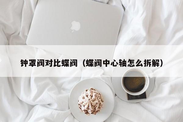 钟罩阀对比蝶阀（蝶阀中心轴怎么拆解）
