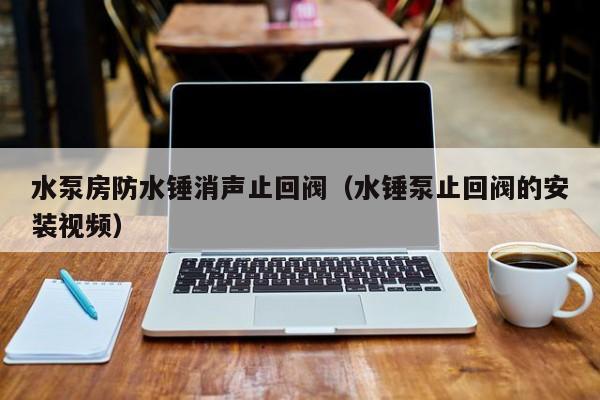 水泵房防水锤消声止回阀（水锤泵止回阀的安装视频）