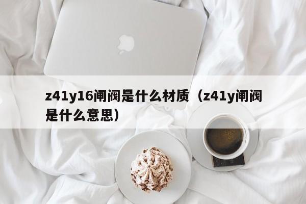 z41y16闸阀是什么材质（z41y闸阀是什么意思）